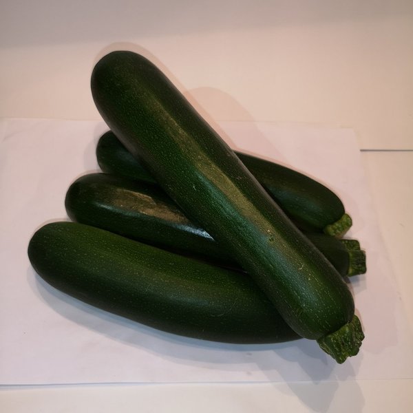 Zucchini grün  1 Kilo