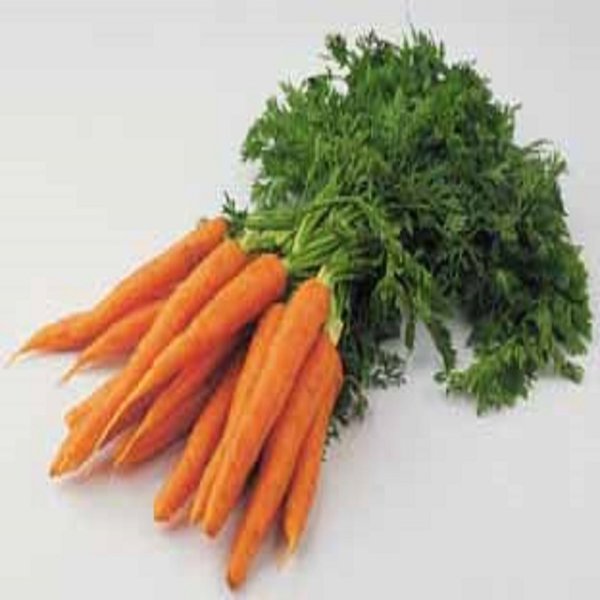 Karotten mit Grün im Bund