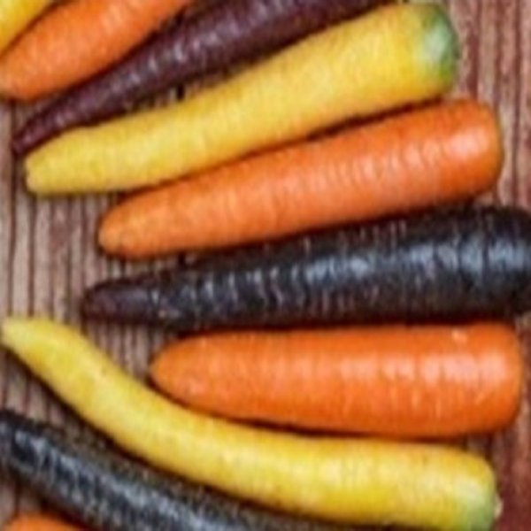 Karotten - farbig ca 1 Kg