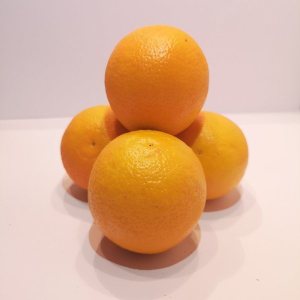 Orangen - Saft ca 500gr