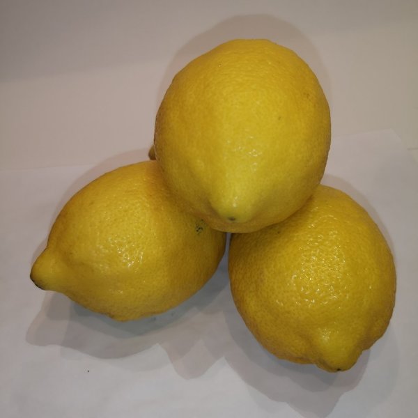 Zitronen 1 stck